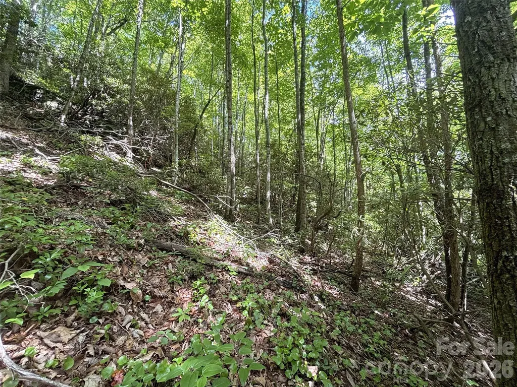 000 Valley View Drive Maggie Valley NC 28751