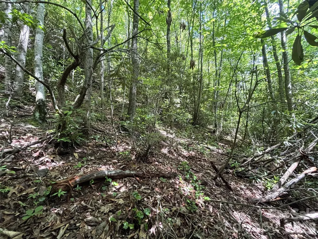 000 Valley View Drive Maggie Valley NC 28751