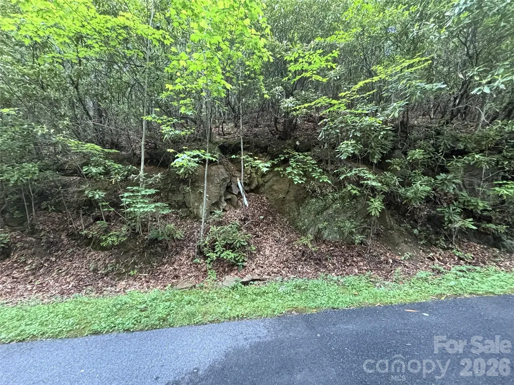 000 Valley View Drive Maggie Valley NC 28751