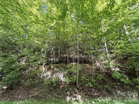 000 Valley View Drive Maggie Valley NC 28751