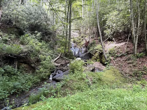 000 Valley View Drive Maggie Valley NC 28751
