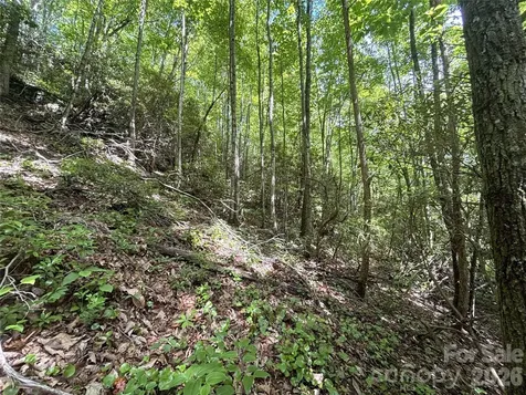 000 Valley View Drive Maggie Valley NC 28751