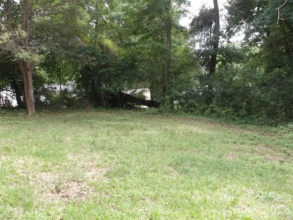 310 Arbor Street Wadesboro NC 28170