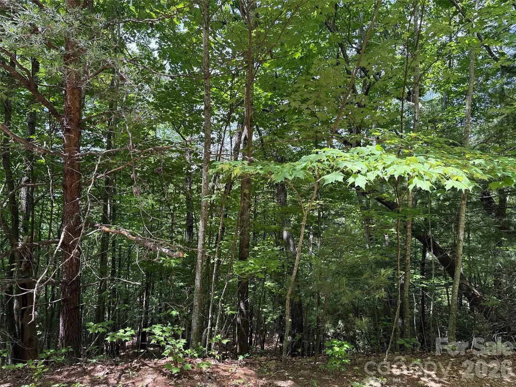 Tbd Warren Way Purlear NC 28665