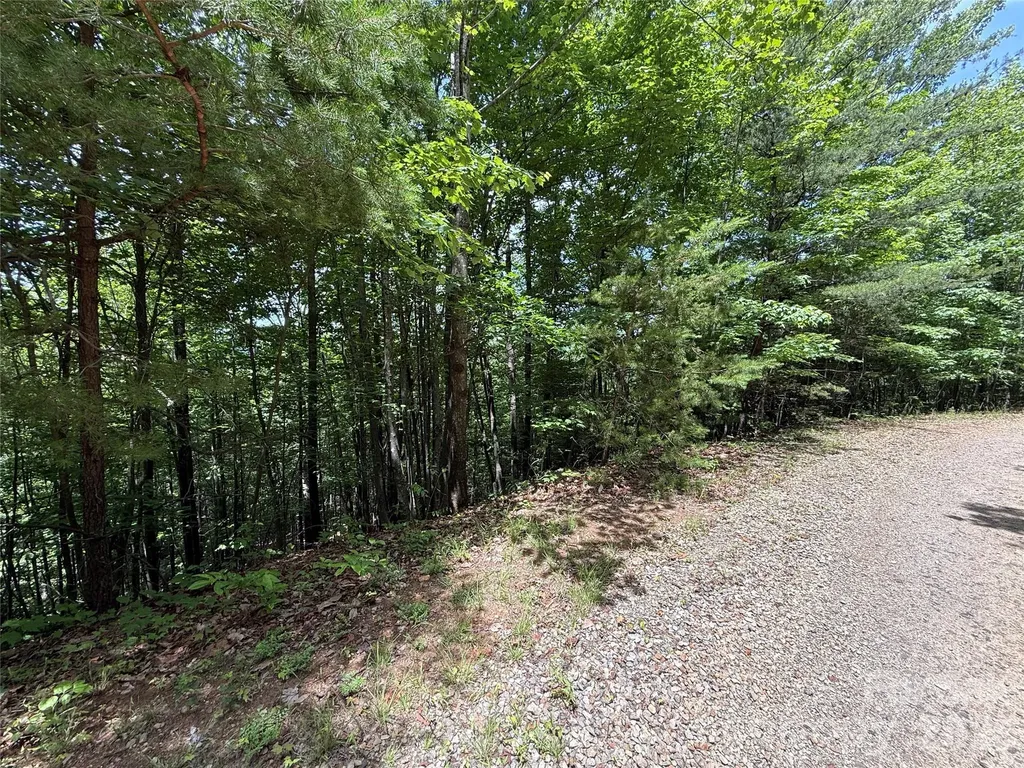 Tbd Warren Way Purlear NC 28665