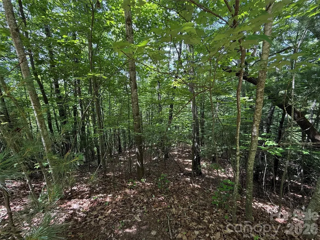 Tbd Warren Way Purlear NC 28665