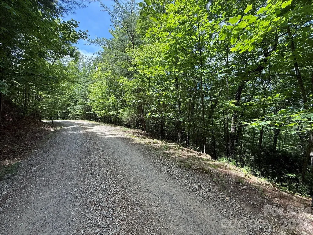 Tbd Warren Way Purlear NC 28665