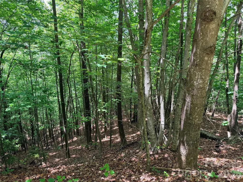 Tbd Warren Way Purlear NC 28665
