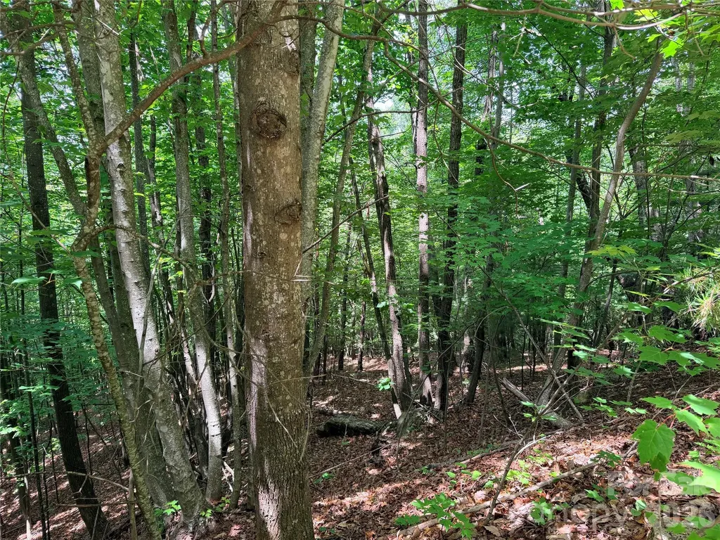 Tbd Warren Way Purlear NC 28665