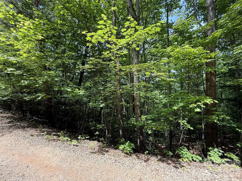 Tbd Warren Way Purlear NC 28665