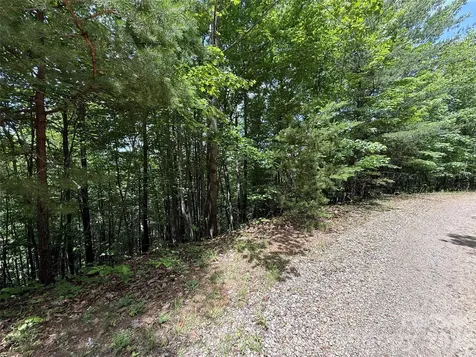 Tbd Warren Way Purlear NC 28665