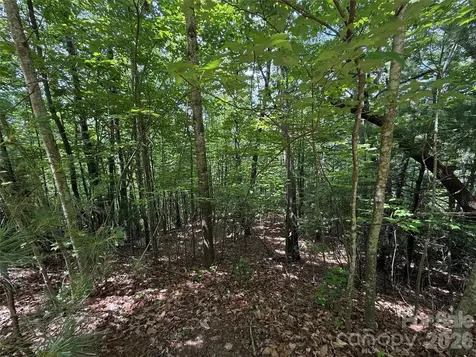 Tbd Warren Way Purlear NC 28665