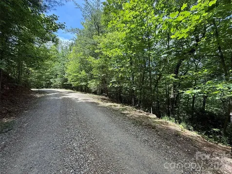 Tbd Warren Way Purlear NC 28665