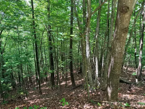 Tbd Warren Way Purlear NC 28665