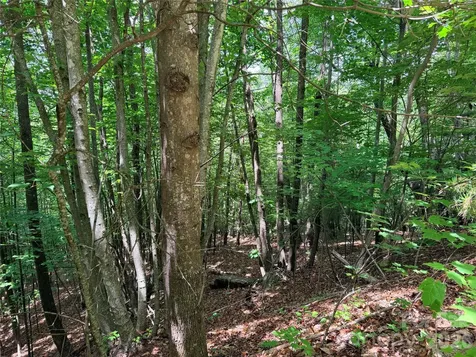 Tbd Warren Way Purlear NC 28665