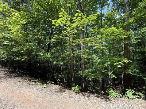 Tbd Warren Way Purlear NC 28665