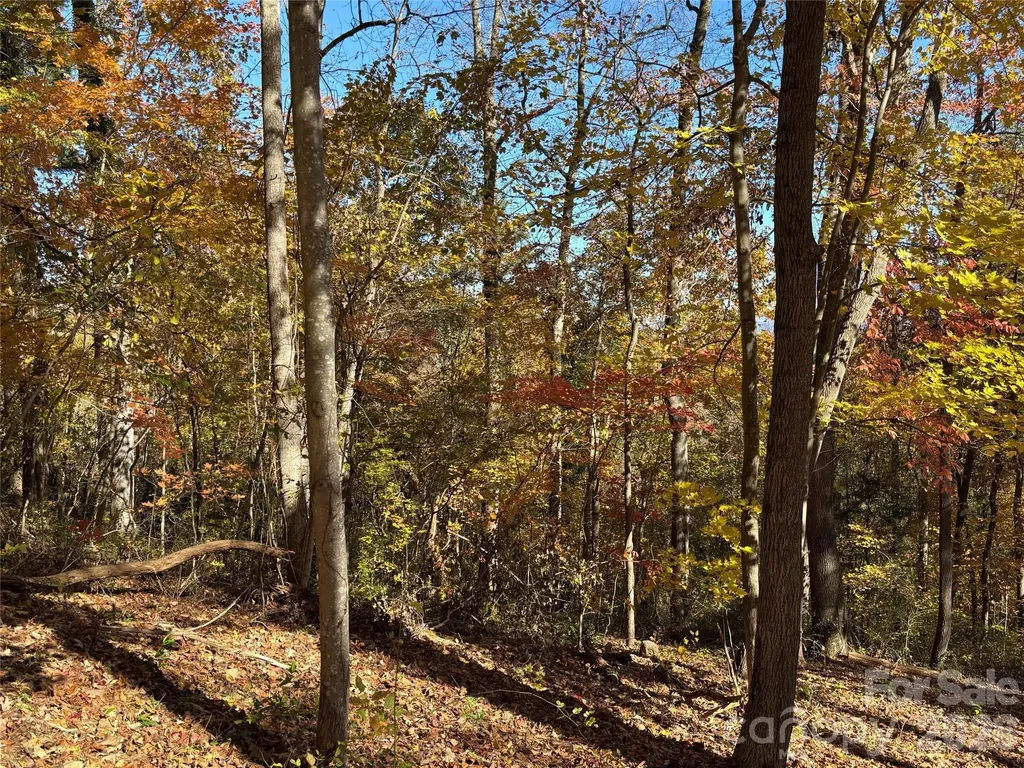 20 La Grange Drive Asheville NC 28805