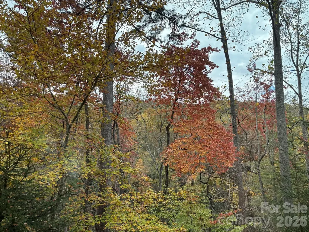 20 La Grange Drive Asheville NC 28805