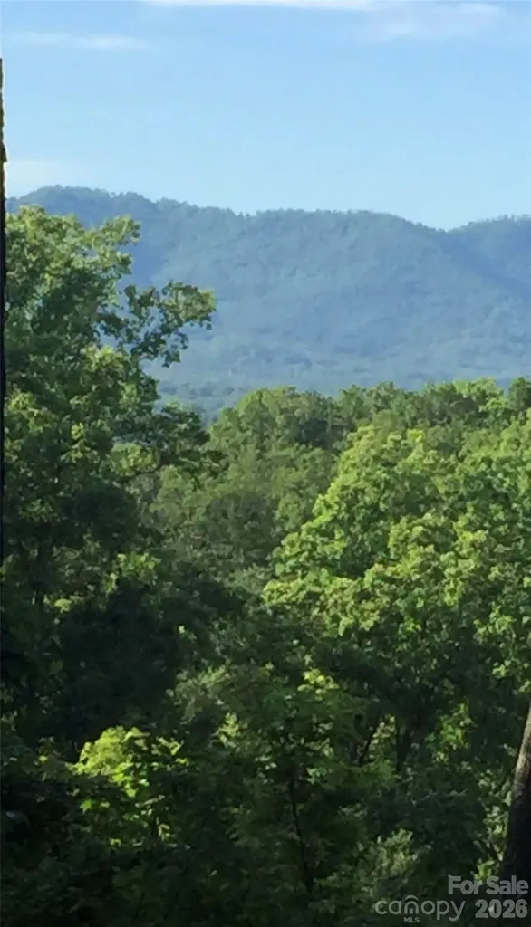 20 La Grange Drive Asheville NC 28805