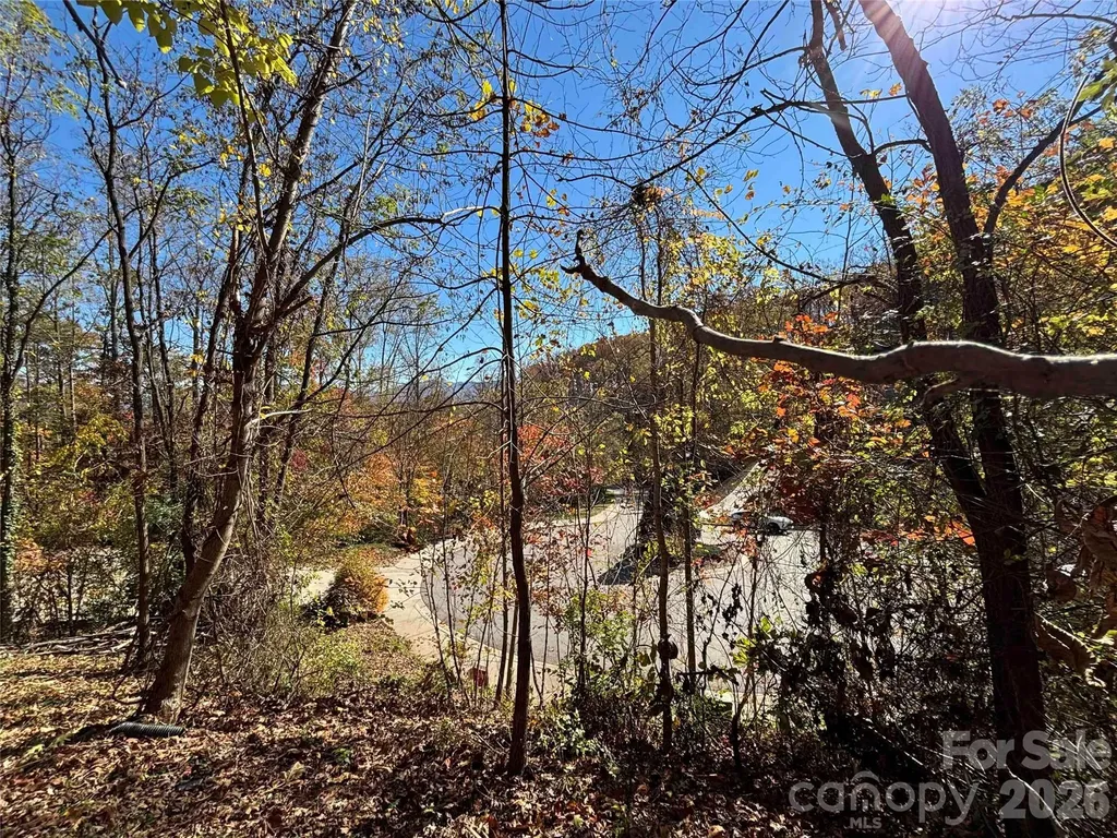 20 La Grange Drive Asheville NC 28805