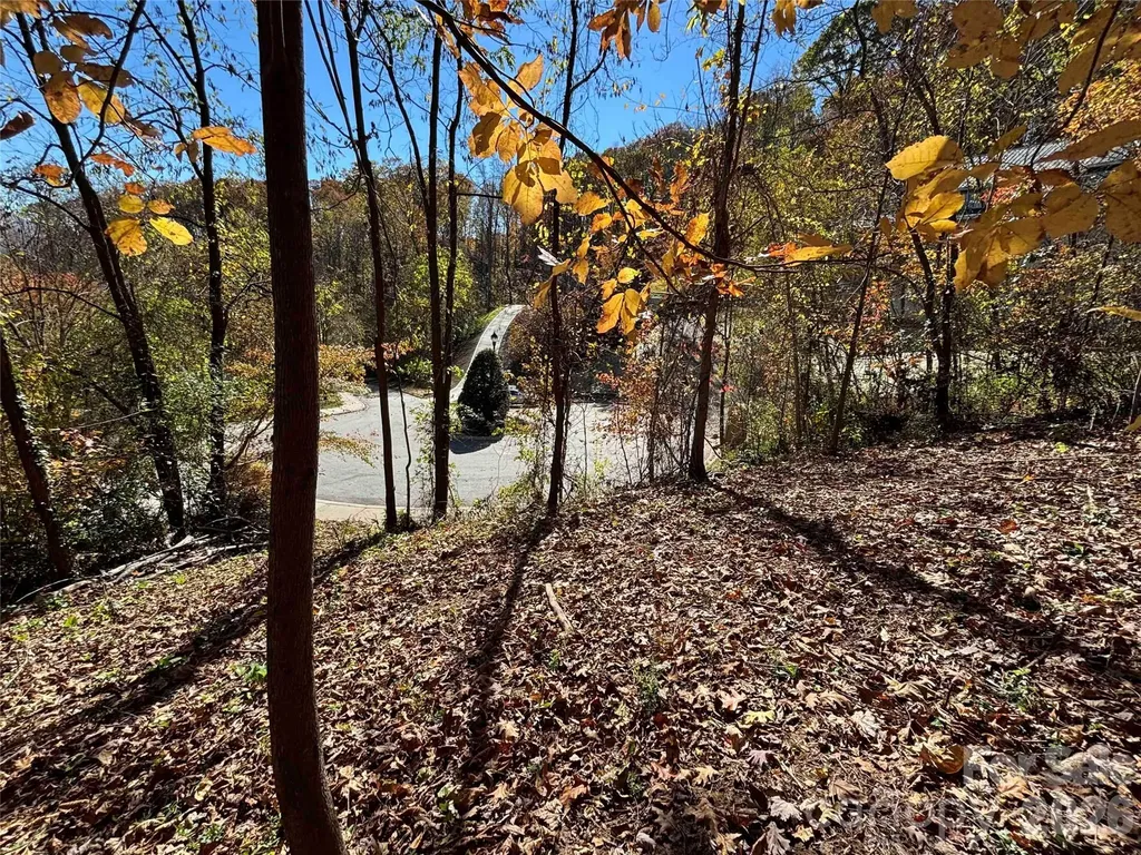 20 La Grange Drive Asheville NC 28805