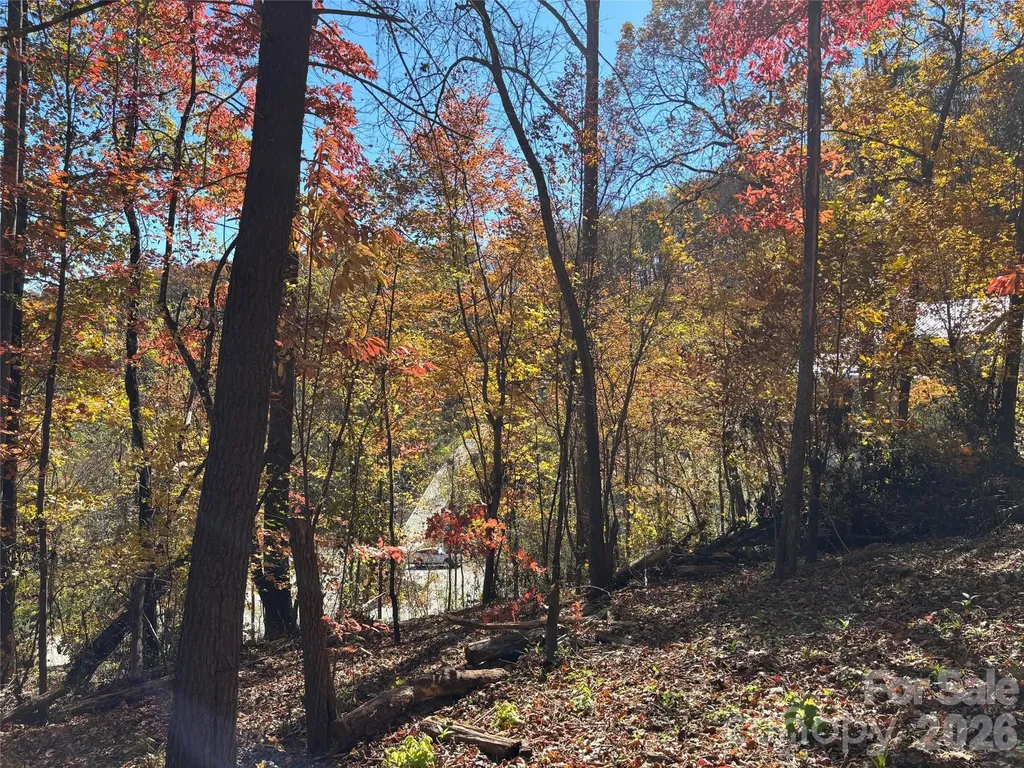 20 La Grange Drive Asheville NC 28805