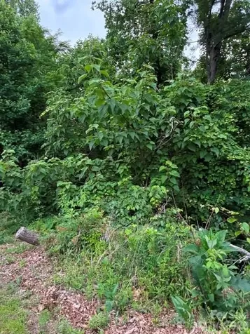 97 Devin Ridge Lane Union Mills NC 28167