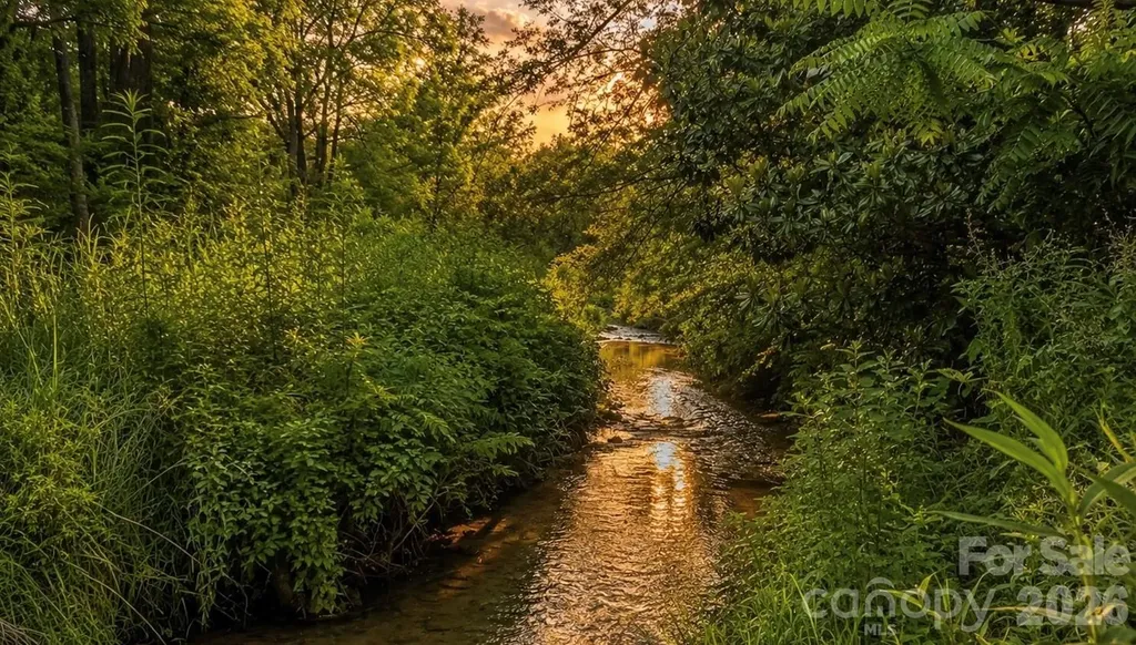 923 Newfound Road Leicester NC 28748