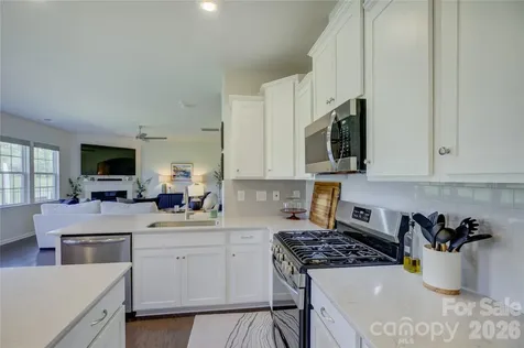 17812 New Mark Avenue Charlotte NC 28278