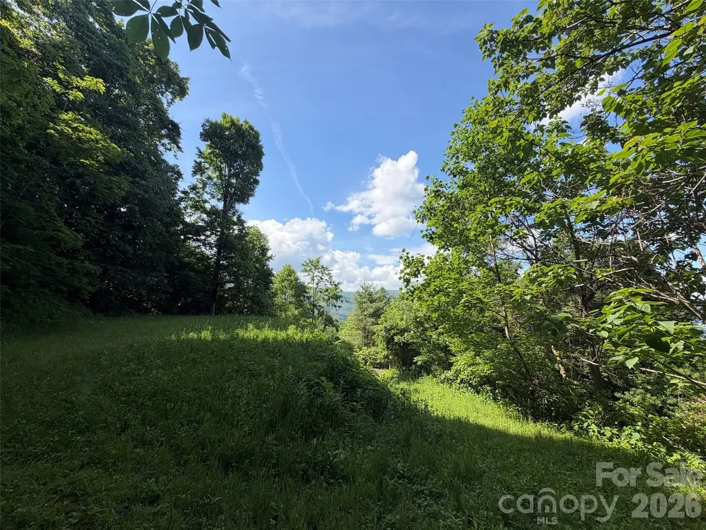 Lot 402 Malin Trail Waynesville NC 28786