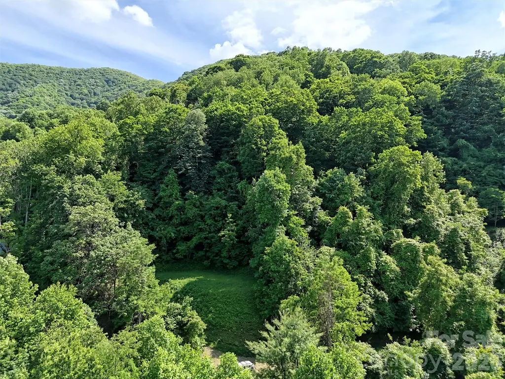 Lot 402 Malin Trail Waynesville NC 28786