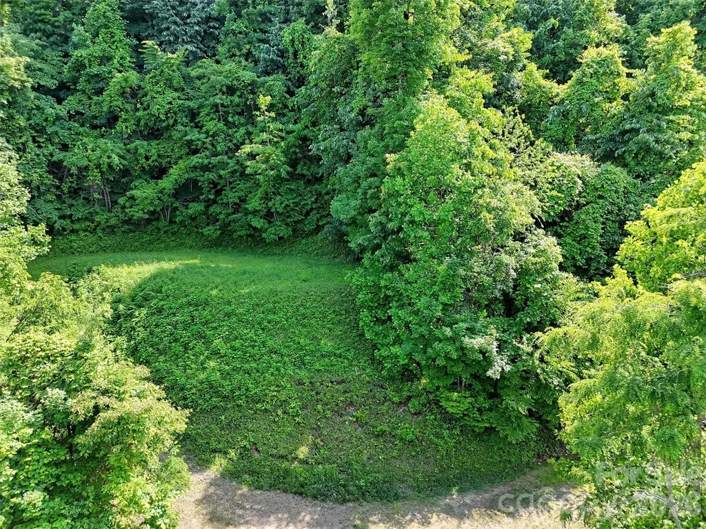 Lot 402 Malin Trail Waynesville NC 28786