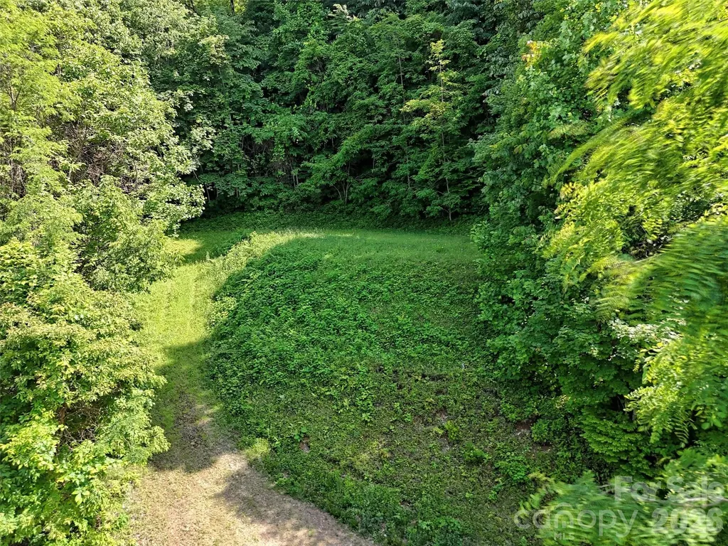 Lot 402 Malin Trail Waynesville NC 28786