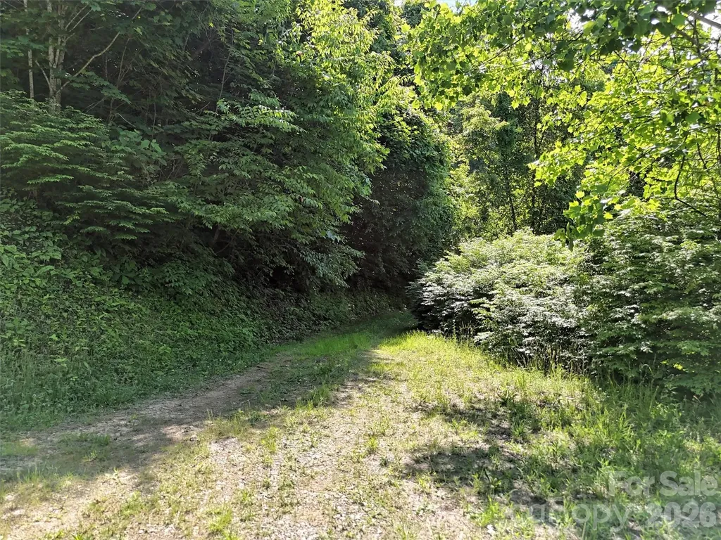 Lot 402 Malin Trail Waynesville NC 28786