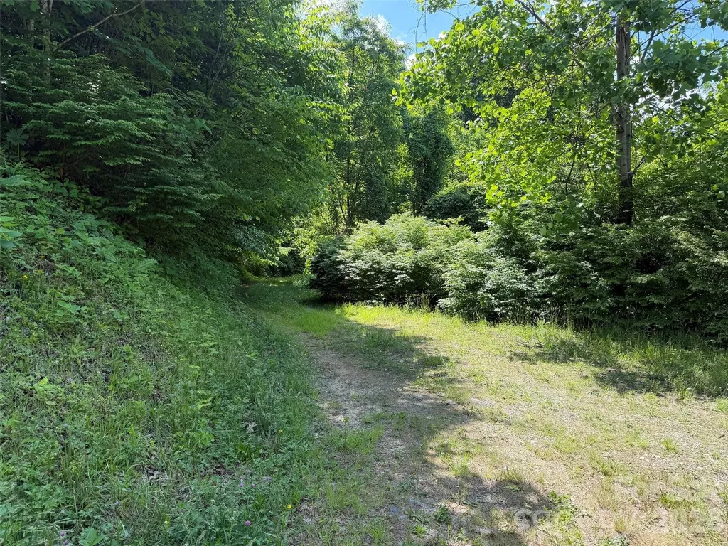 Lot 402 Malin Trail Waynesville NC 28786