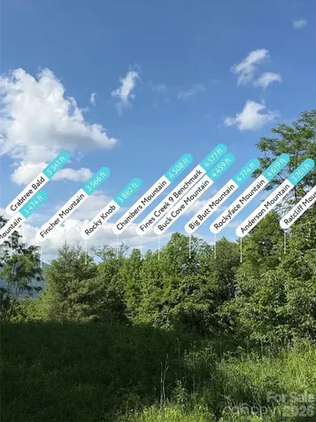Lot 402 Malin Trail Waynesville NC 28786
