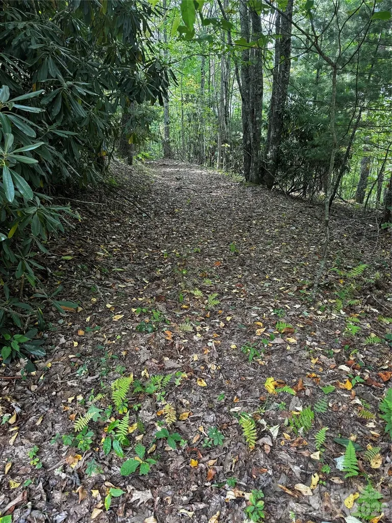 45 Windy Hollow Lane Newland NC 28657