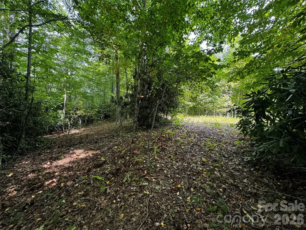 45 Windy Hollow Lane Newland NC 28657