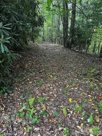 45 Windy Hollow Lane Newland NC 28657
