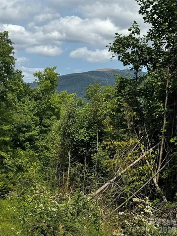45 Windy Hollow Lane Newland NC 28657