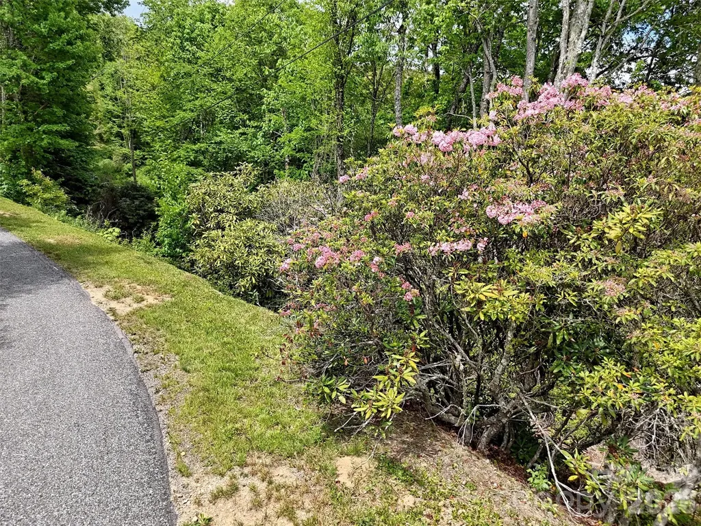 00 Leatherwood Road Maggie Valley NC 28751