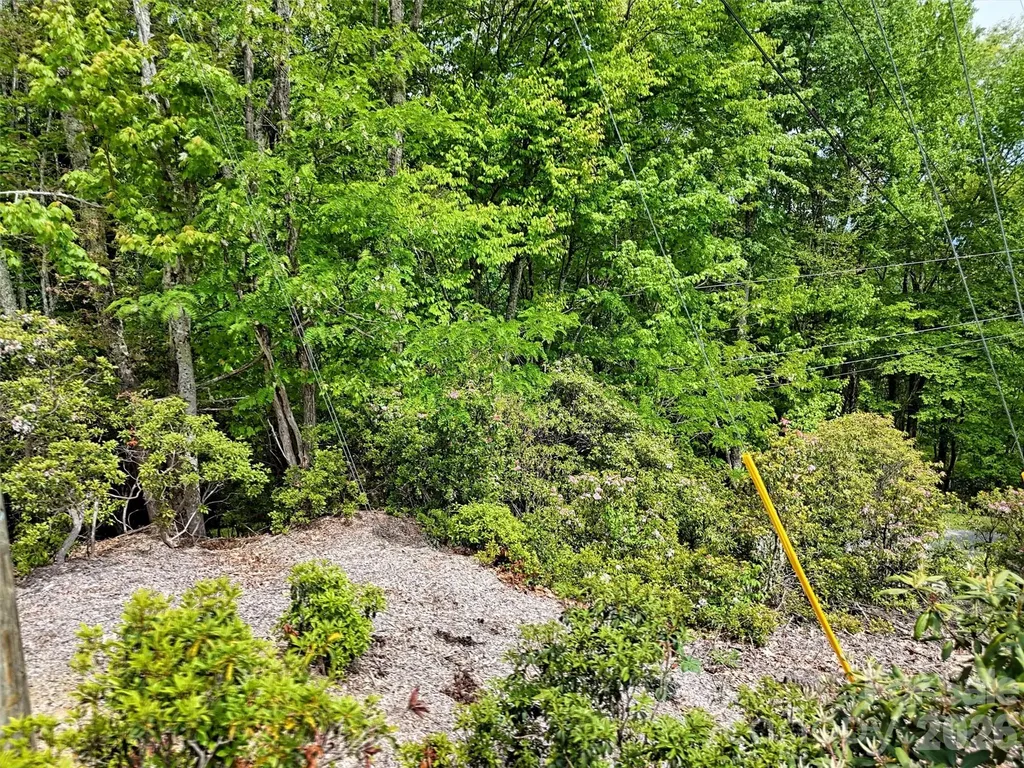 00 Leatherwood Road Maggie Valley NC 28751