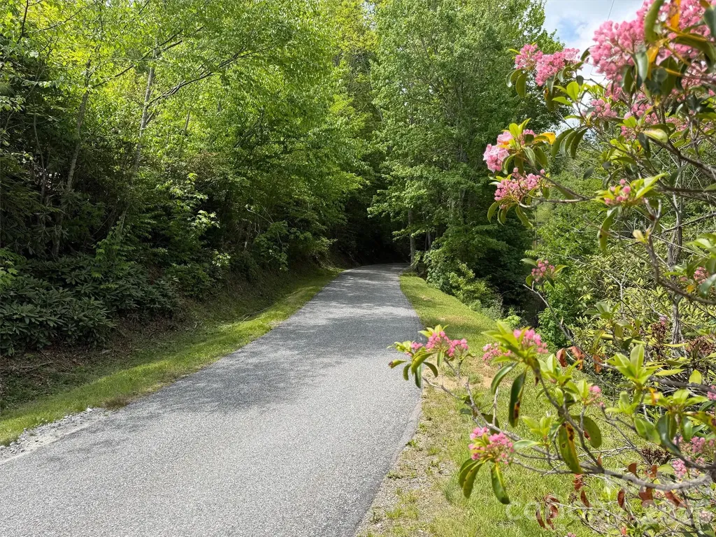 00 Leatherwood Road Maggie Valley NC 28751