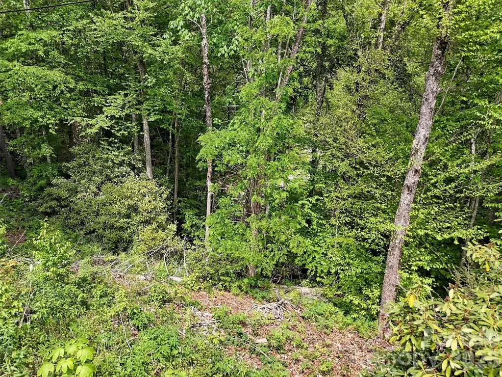 00 Leatherwood Road Maggie Valley NC 28751