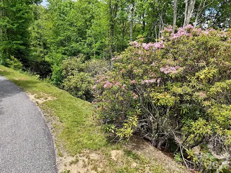 00 Leatherwood Road Maggie Valley NC 28751
