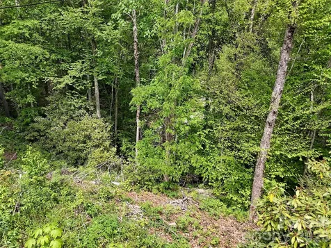 00 Leatherwood Road Maggie Valley NC 28751