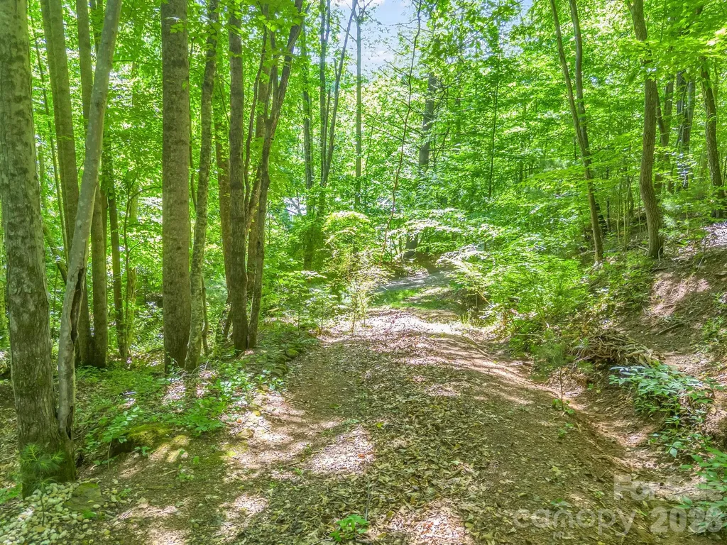 21 Wits End Trail Swannanoa NC 28778
