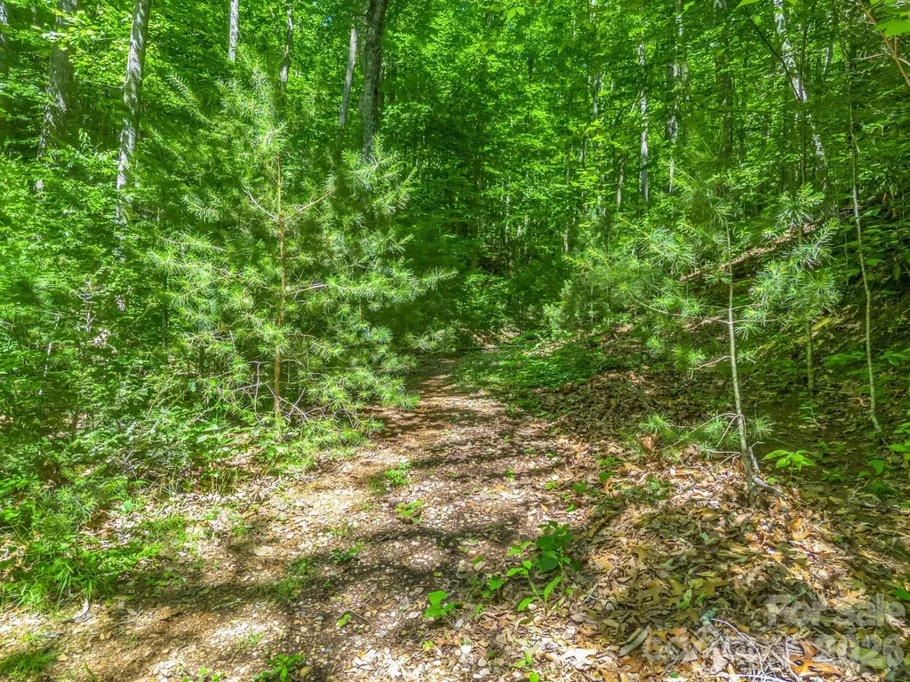 21 Wits End Trail Swannanoa NC 28778