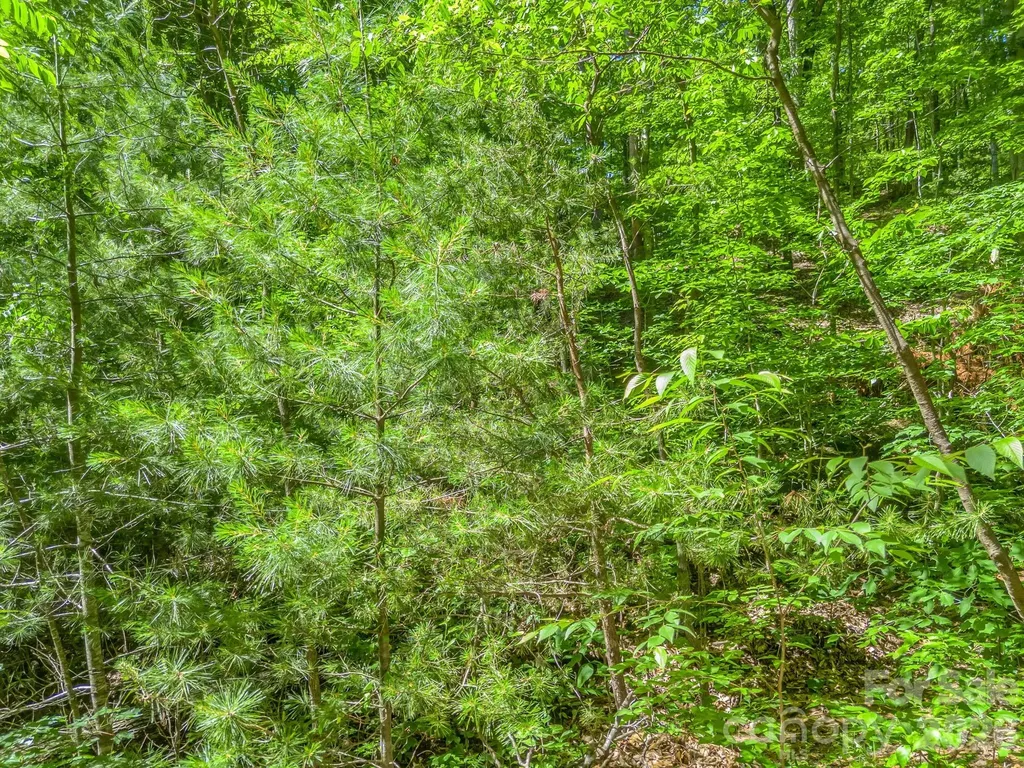 21 Wits End Trail Swannanoa NC 28778