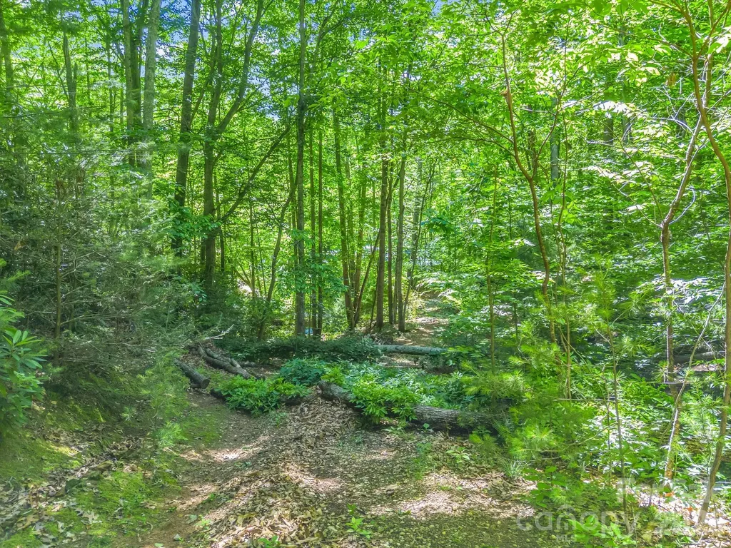 21 Wits End Trail Swannanoa NC 28778